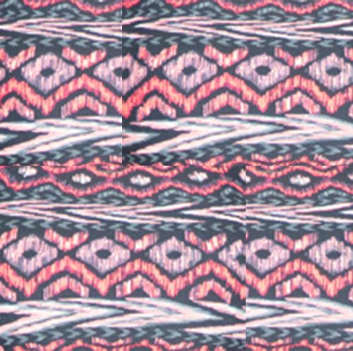 Long sleeve top Exotic PL086